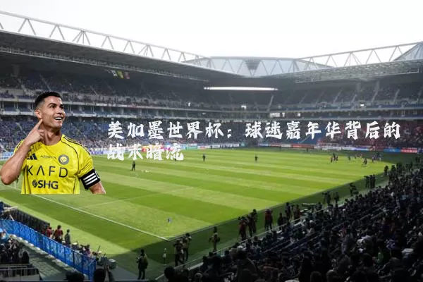 美加墨世界杯：球迷嘉年华背后的战术暗流